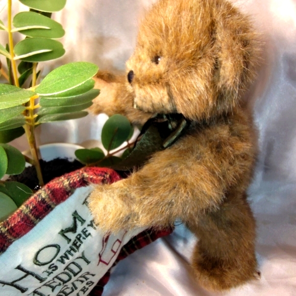 Boyd's Bear | Thinking of Ya Series - Picture 6 of 8